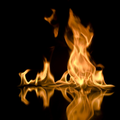 fire movement